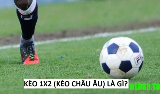 Kèo châu Âu là gì?