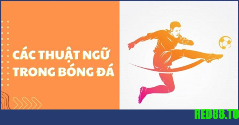 Thuật ngữ cược bóng đá cơ bản