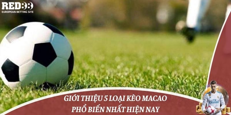 Giới Thiệu 5 Loại Kèo Macao Phổ Biến Nhất Hiện Nay