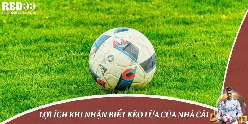 Lợi ích khi nhận biết kèo lừa của nhà cái