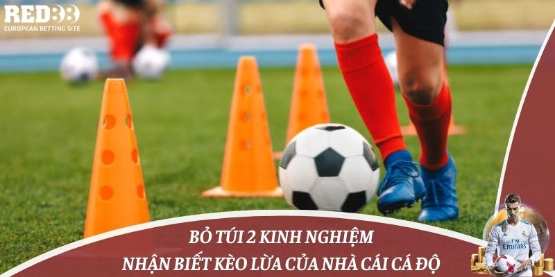 Bỏ Túi 2 Kinh Nghiệm Nhận Biết Kèo Lừa Của Nhà Cái Cá Độ