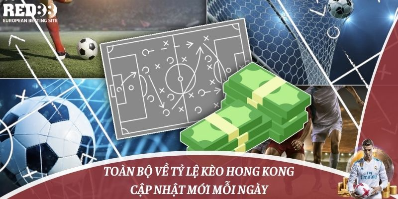 Toàn Bộ Về Tỷ Lệ Kèo Hong Kong Cập Nhật Mới Mỗi Ngày