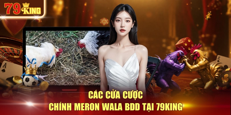 Các cửa cược chính Meron Wala BDD tại 79KING