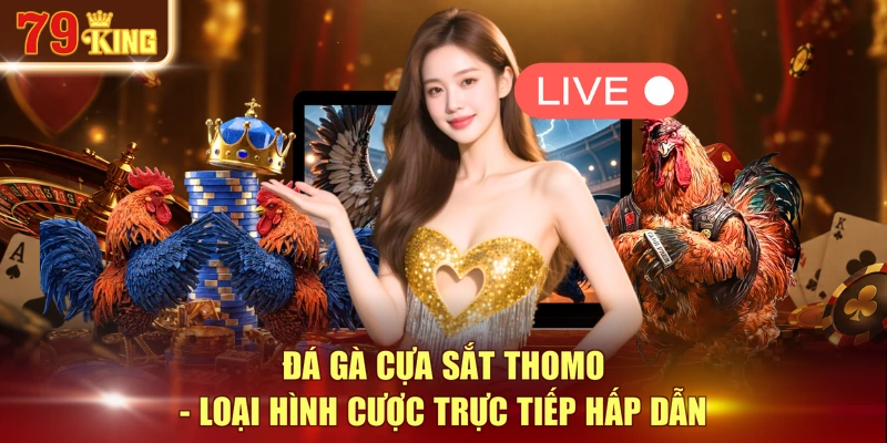 Đá gà cựa sắt Thomo - Loại hình cược trực tiếp hấp dẫn