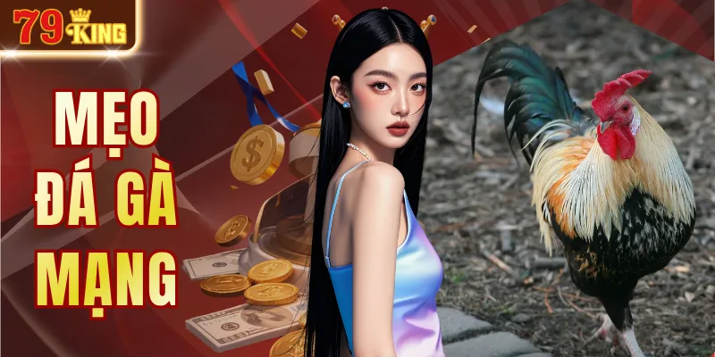 Mẹo Đá Gà Mạng - Kinh Nghiệm Quan Sát Và Phân Tích Trận Đấu