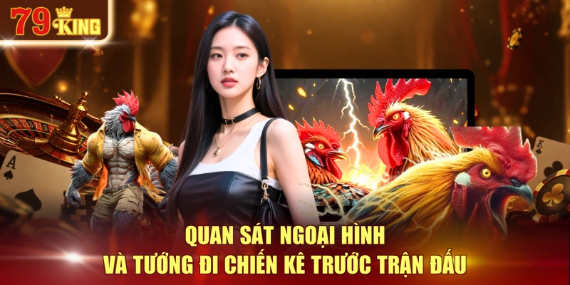 Quan sát ngoại hình và tướng đi chiến kê trước trận đấu