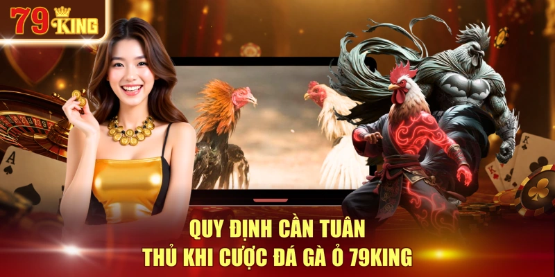 Quy định cần tuân thủ khi cược đá gà ỏ 79KING